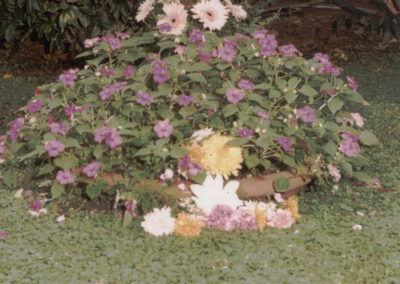 Eine Aufnahme von der letzten Ruhestätte von Schwester M. Fiatis Schätzle, die im Juli 1993 kurz nach ihrer Beerdigung auf dem Schwesternfriedhof in Florencio Varela, dem argentinischen Neu-Schönstatt, entstanden ist.