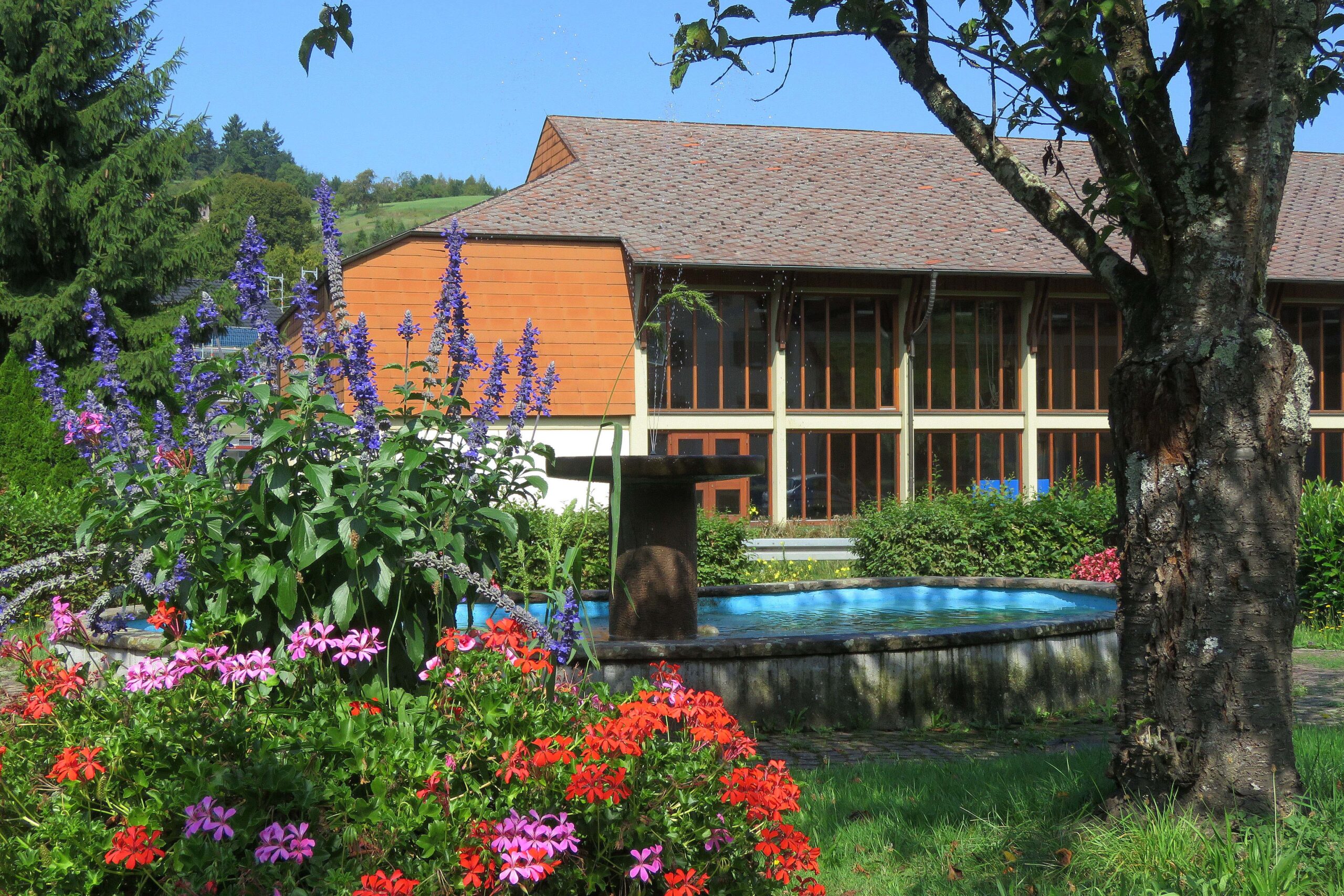 Lebensraum Natur Doerlinbach