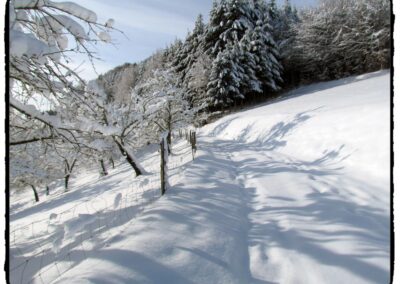 Reichlich Schnee um den Welttag des Schneemanns gab es zuletzt 2021 (Heuweg).