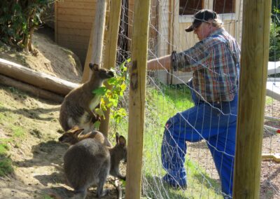 „Zoodirektor“ Johann (Johannes Ohnemus) bei einer seiner täglichen Visiten im September 2019.