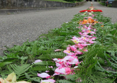 Fronleichnam 2019: Am Morgen wird der Prozessionsweg mit Blumen und Farn geschmückt und der Fluraltar erhält seinen Blumenteppich.