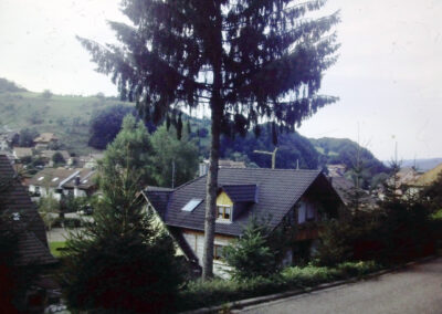 Impressionen von der Fällung der Schätzle-Tanne im Spätsommer 1994. Ein vergessener Draht hatte den Stamm regelrecht abgeschnürt.