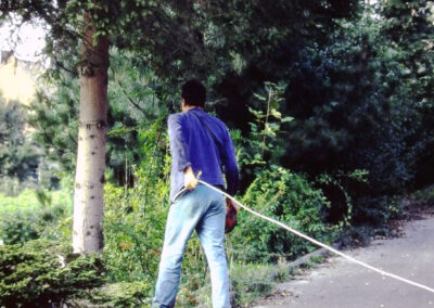 Impressionen von der Fällung der Schätzle-Tanne im Spätsommer 1994. Ein vergessener Draht hatte den Stamm regelrecht abgeschnürt.