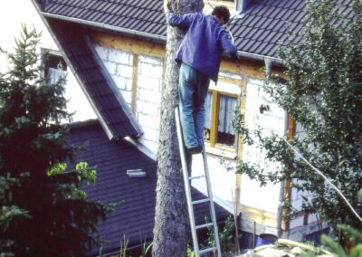 Impressionen von der Fällung der Schätzle-Tanne im Spätsommer 1994. Ein vergessener Draht hatte den Stamm regelrecht abgeschnürt.