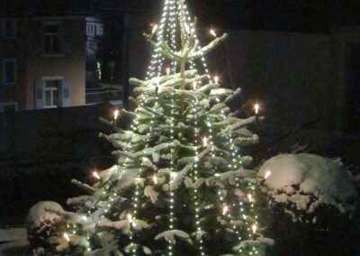 Ende November 2021: Impressionen vom Weihnachtsbaum vor der Pfarrkirche St. Johannes im Oberdorf.