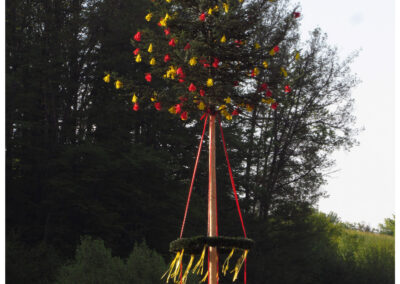 Brandaktuell: Impressionen vom Maibaumstellen am heutigen frühen Abend. Der Baum steht nun in seiner voller Pracht in der Dorfmitte.