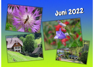 Juni 2022: Impressionen aus Dörlinbach. Viel Spaß beim Betrachten der Fotos aus unserem Dorf sowie aus Wald und Flur.