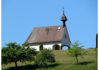 Aktuelle Juli-Impressionen aus unserem Ort und seiner Umgebung. Eingefangen am Kappelberg, im Prinschbachtal und dem Lieberatsberg.