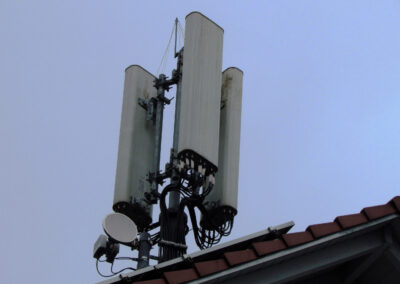 Anfang März wurde der Horst auf der G5-.Antenne im Mühlweg entfernt und Drähte angebracht – etwa zur Vergrämung?!