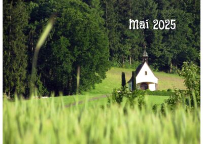 Impressionen aus Dörlinbach von Anfang bis Mitte Mai 2025.