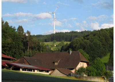 Impressionen aus Dörlinbach von Anfang bis Mitte Mai 2025.