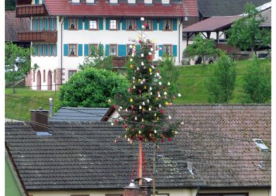 Impressionen aus Dörlinbach von Anfang bis Mitte Mai 2025.