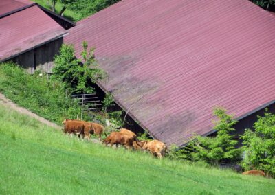 Über den Kapellenweg erreichte die Wandergruppe den Jägertonihof mit dessen historischem Mühlengebäude.