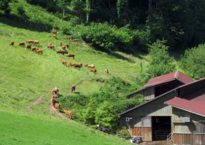 Über den Kapellenweg erreichte die Wandergruppe den Jägertonihof mit dessen historischem Mühlengebäude.