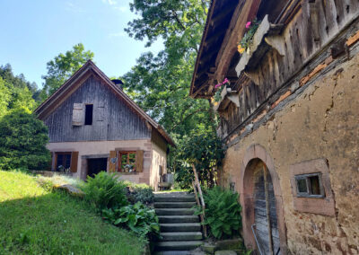 Hofbauer Alfred Kopf führte die Wandergruppe durch die Mühle und gewährte Einblicke in die historischen Abläufe der Mehlproduktion.