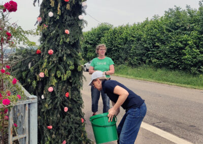 Abbau des Schwibbogens: Nach einem gelungenen Fest muss der Torbogen wieder weichen. Was tagelang aufgebaut wurde verschwindet an einem einzigen Tag.