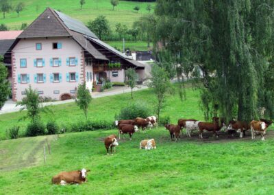 Der Ziegelhof lädt zum Verweilen ein. Über Jahrhunderte hinweg nannte man den Hof „s' Zieglers“, bis der Name „Ziegelhof“ Mitte des 20. Jahrhunderts aufkam.