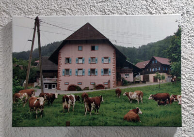 Bei der ganzjährigen Kunstausstellung im Rathaus stehen auch Bauernhöfe im Blickpunkt: der Ziegelhof, dargestellt von Wolfgang Schätzle.
