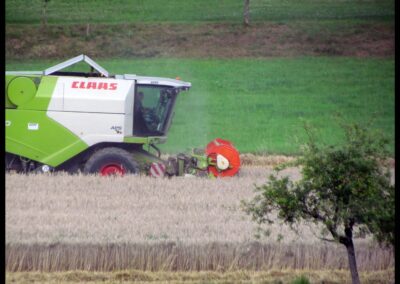 Dörlinbacher Impressionen aus dem August 2025: Tiere, Natur und Gebäude ...