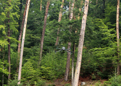 Impressionen vom Waldparkplatz bei der Prinschbachhütte. Vor Ort informierten die Kitzrettung und der Forstbetrieb Zehnle.