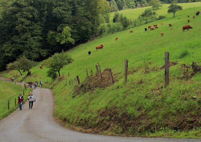 Impressionen vom Jägertonihof im Prinschbachtal, wo man hautnah erleben konnte, wie Apfelsaft in der Vergangenheit hergestellt wurde.