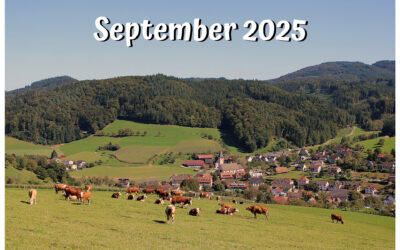 In eigener Sache(September 20205)