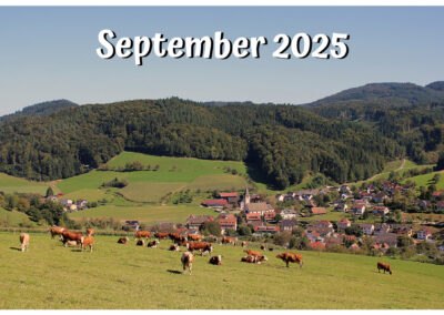September-Bilder aus unserem Ort: Katzen, Natur und sonstige Dorf-Blicke.
