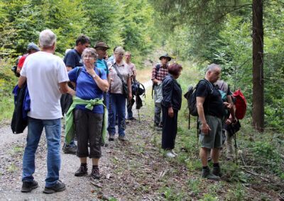 Historische Wanderung: Nach einer kurzen Rast führte der Weg weiter über den Dörlinbacher Grund hinunter nach Ettenheimmünster.