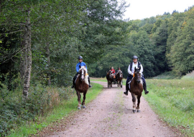 Begegnung im Dörlinbacher Grund: Wandergruppe aus Dörlinbach und Pferdeliebhaber aus Schweighausen.