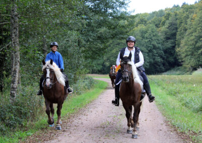 Begegnung im Dörlinbacher Grund: Wandergruppe aus Dörlinbach und Pferdeliebhaber aus Schweighausen.