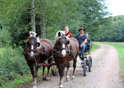 Begegnung im Dörlinbacher Grund: Wandergruppe aus Dörlinbach und Pferdeliebhaber aus Schweighausen.