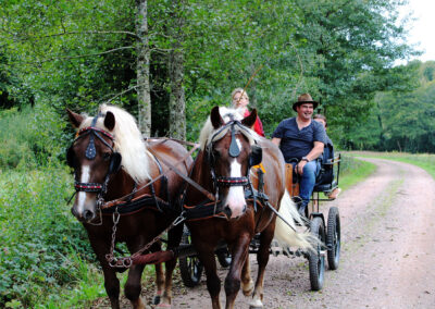 Begegnung im Dörlinbacher Grund: Wandergruppe aus Dörlinbach und Pferdeliebhaber aus Schweighausen.
