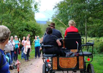 Begegnung im Dörlinbacher Grund: Wandergruppe aus Dörlinbach und Pferdeliebhaber aus Schweighausen.