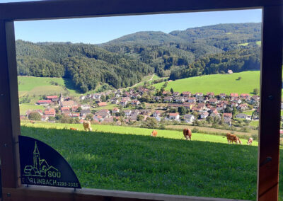 Der zweite Rahmen wurde am Heuweg installiert, direkt bevor der Weg in den Wald führt. Von dort aus eröffnet sich ein wunderbarer Blick auf den Jubiläumsort Dörlinbach.
