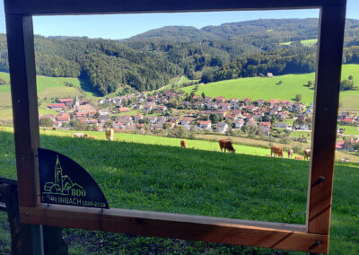 Der zweite Rahmen wurde am Heuweg installiert, direkt bevor der Weg in den Wald führt. Von dort aus eröffnet sich ein wunderbarer Blick auf den Jubiläumsort Dörlinbach.