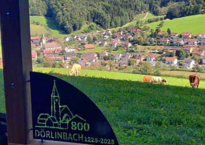Der zweite Rahmen wurde am Heuweg installiert, direkt bevor der Weg in den Wald führt. Von dort aus eröffnet sich ein wunderbarer Blick auf den Jubiläumsort Dörlinbach.