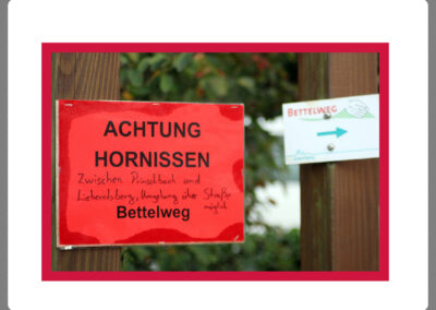 Achtung! Auf einigen Wanderwegen wird vor Hornissen gewarnt. Auch die asiatische Hornisse hat inzwischen Einzug bei uns gehalten.