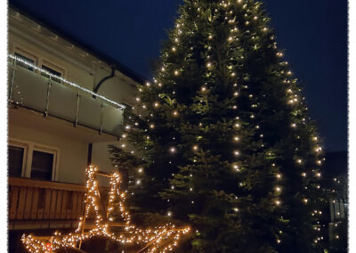 Weihnachten 2025 in Dörlinbach: Eine Auswahl der funkelnden Christbäume im Ort! In diesem Jahr gibt es mehr Weihnachtsbäume als sonst zu bestaunen.