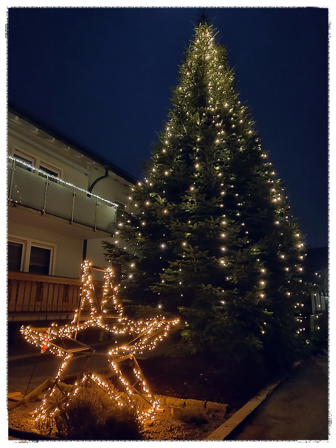 Weihnachten 2025 in Dörlinbach: Eine Auswahl der funkelnden Christbäume im Ort! In diesem Jahr gibt es mehr Weihnachtsbäume als sonst zu bestaunen.