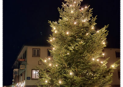 Weihnachten 2025 in Dörlinbach: Eine Auswahl der funkelnden Christbäume im Ort! In diesem Jahr gibt es mehr Weihnachtsbäume als sonst zu bestaunen.