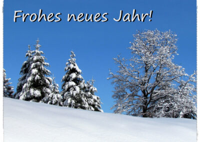 Frohes neues Jahr – auf eine weiterhin gute Zeit in Dörlinbach! Lasst uns gemeinsam ins neue Jahr starten!