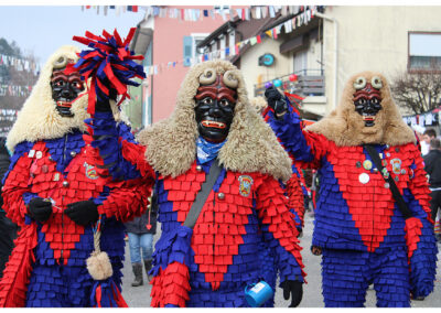 Impressionen vom großen Jubiläumsumzug mit anschießendem Narrentreiben im Narrendorf und in der Festhalle.