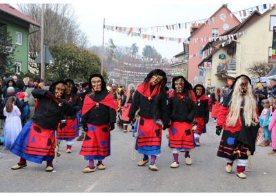 Impressionen vom großen Jubiläumsumzug mit anschießendem Narrentreiben im Narrendorf und in der Festhalle.