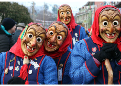Impressionen vom großen Jubiläumsumzug mit anschießendem Narrentreiben im Narrendorf und in der Festhalle.