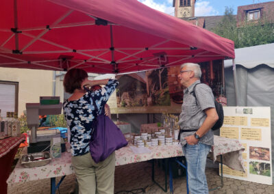 31. August 2026: Impressionen vom Dörlinbacher Bauernmarkt bei der Alten Schule.
