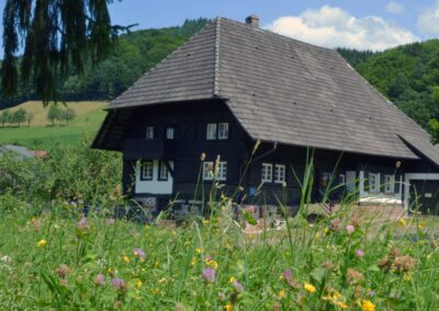 Das älteste noch erhaltene Haus im Ort: s' Moritze Hus im Oberdorf. Erbaut im Jahre 1734. Eine Momentaufnahme aus dem Sommer 2015.