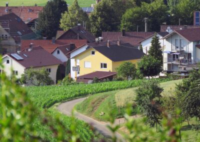 Juli 2018: Blick vom Kappelberg zur Herrenmatt, zum Wanglerhof und zum Oberrain.