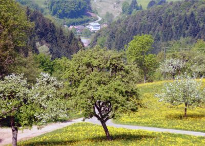 Frühlings-Impressionen im April 2011: Blick vom Lieberatsberg hinunter ins Dorf.