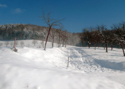 Dezember 2010 oberhalb des Zieglerhofs: Winter-Impressionen rund ums Dorf.