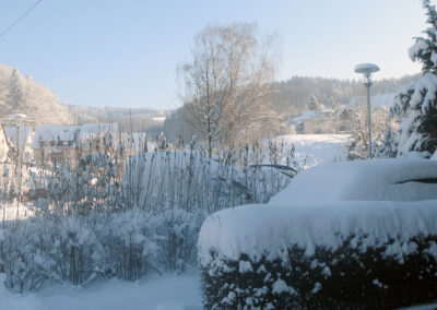 Dezember 2010 beim Ziegelhüttenplatz: Winter-Impressionen rund ums Dorf.